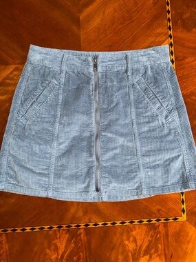 American Eagle Outfitters Light Blue Corduroy Zip-Front Mini Skirt